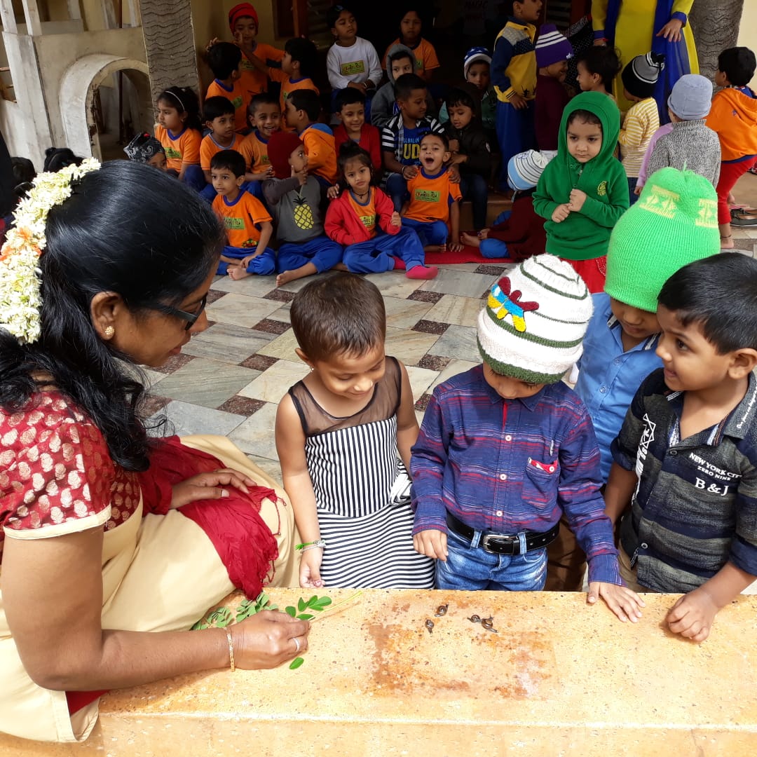 preschool in Rangoli Halla